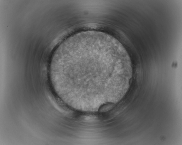 X0000113740500200910211127