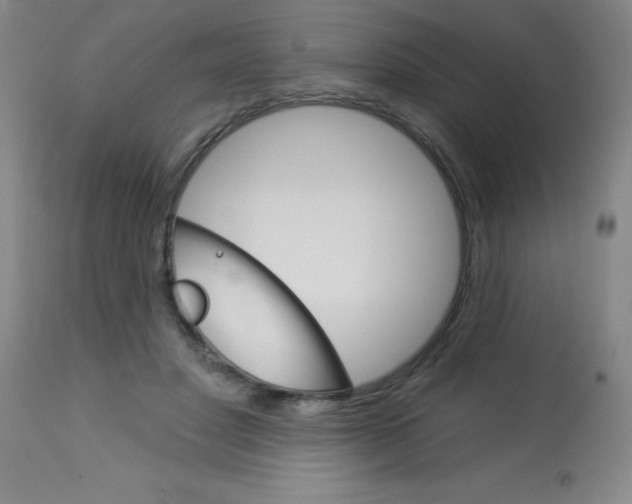 X0000113740501200910211127