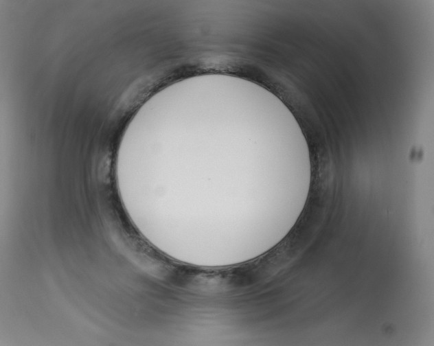 X0000113740502200910211127