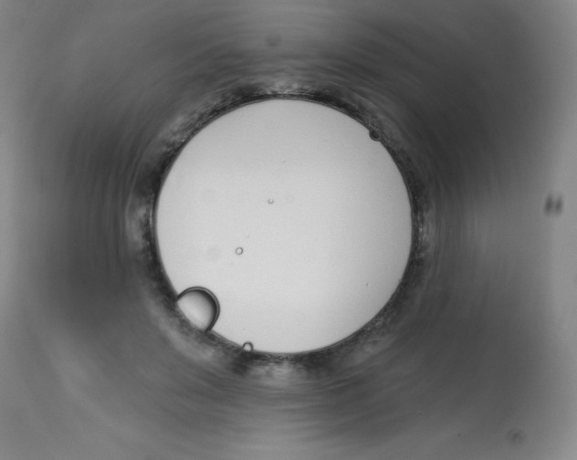 X0000113740503200910211127