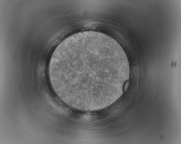 X0000113740504200910211127