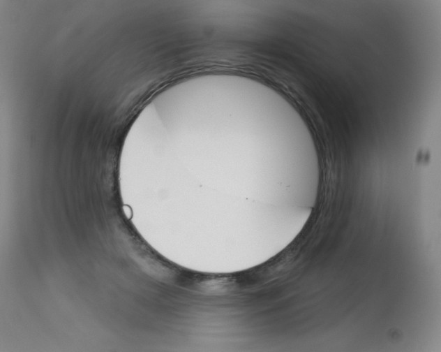 X0000113740505200910211127