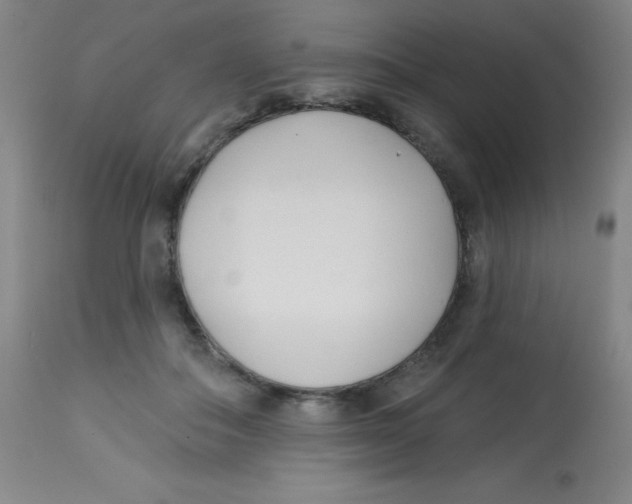 X0000113740506200910211127