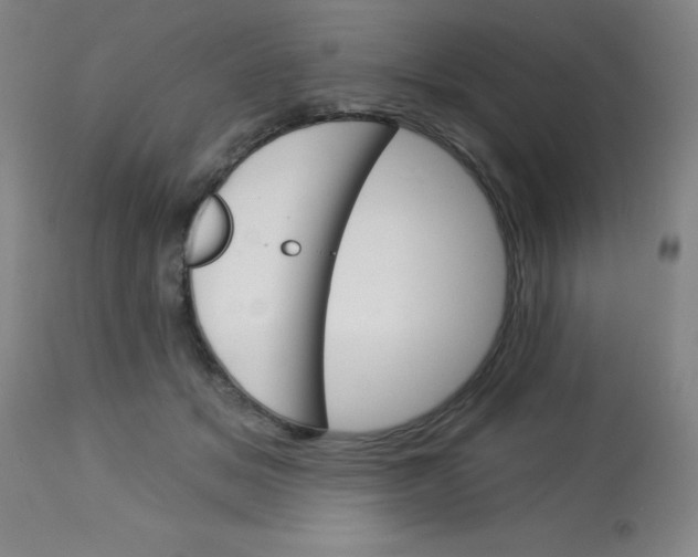 X0000113740509200910211127