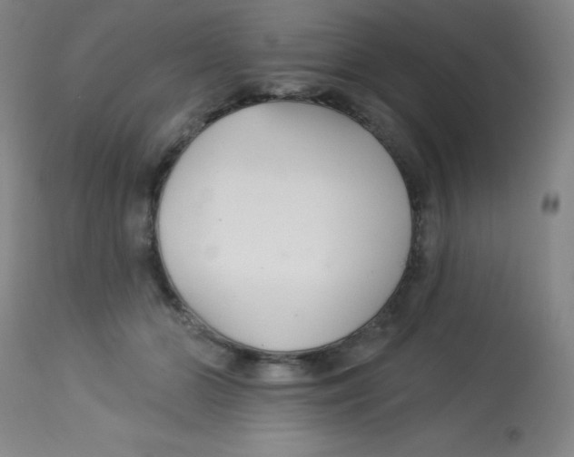 X0000113740510200910211127