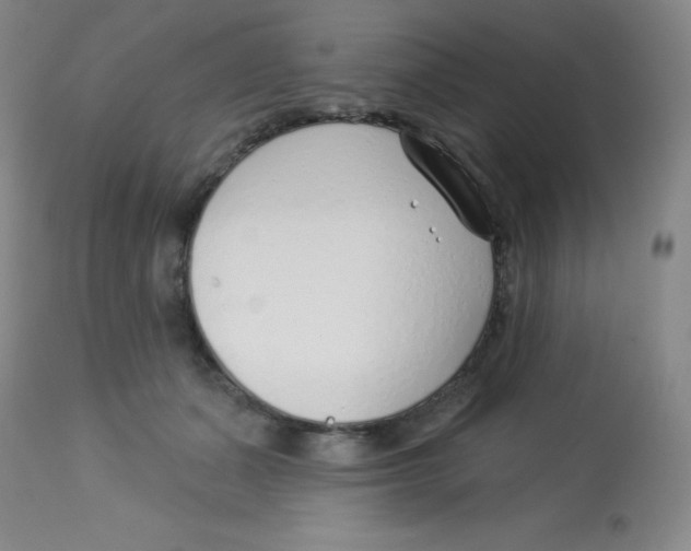 X0000113740511200910211127