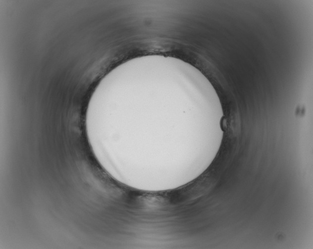 X0000113740512200910211127