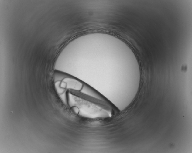 X0000113740513200910211127