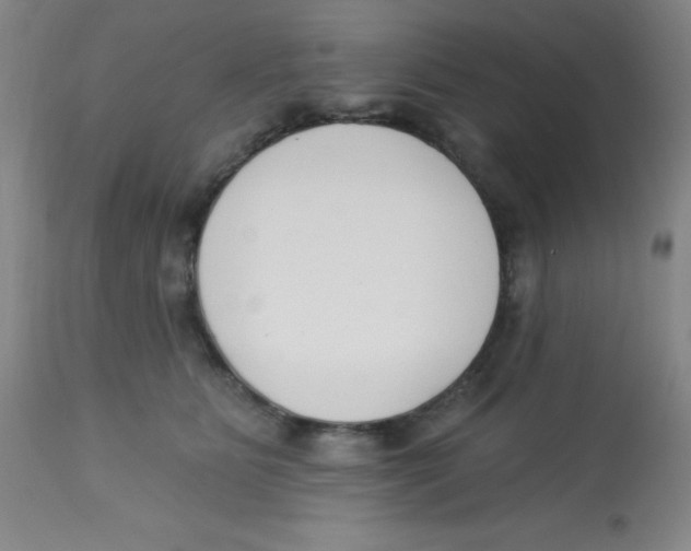 X0000113740515200910211127