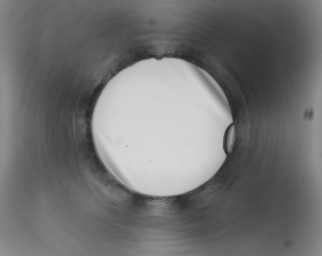 X0000113740516200910211127