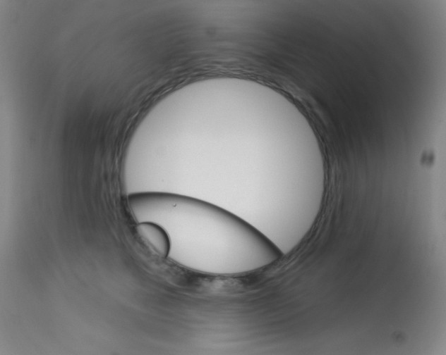 X0000113740517200910211127