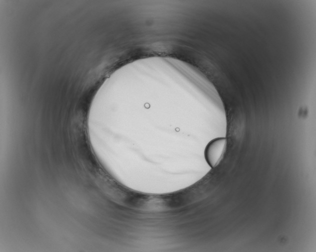 X0000113740518200910211127