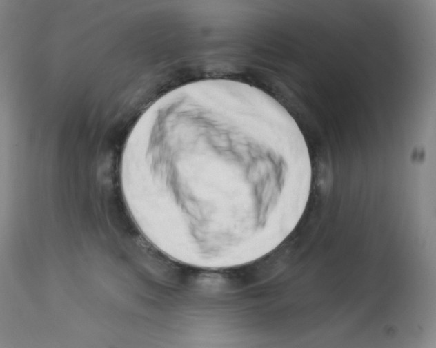 X0000113740519200910211127