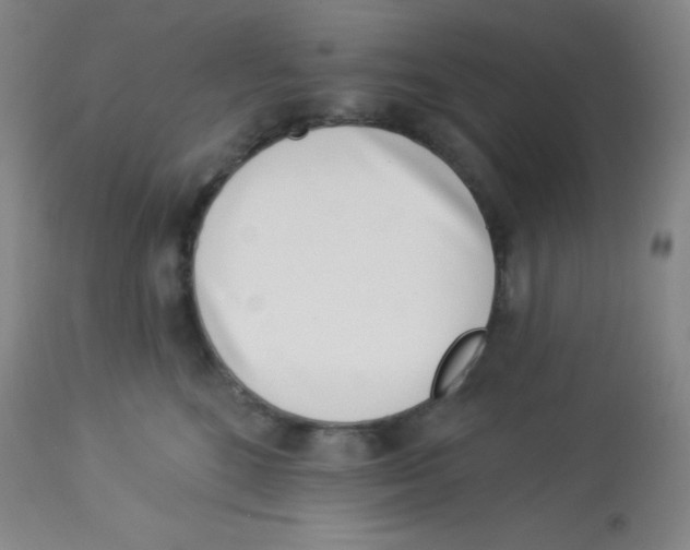X0000113740520200910211127