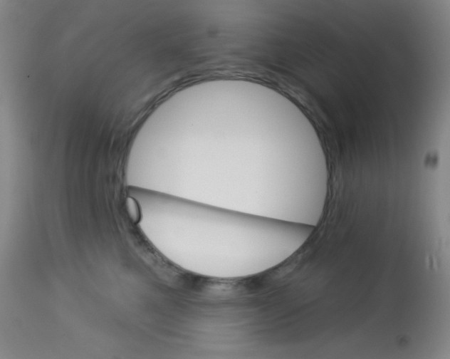 X0000113740521200910211127