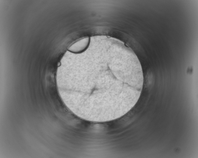 X0000113740522200910211127