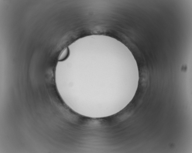 X0000113740523200910211127