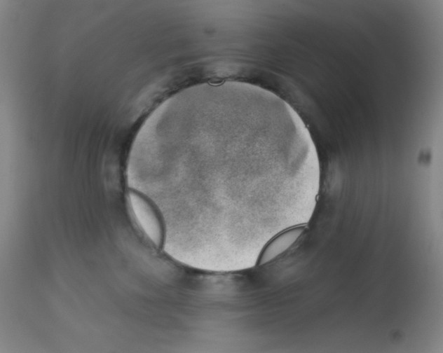 X0000113740524200910211127