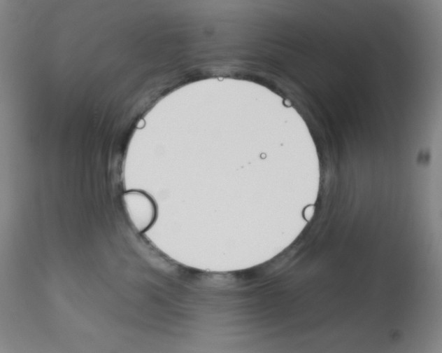 X0000113740525200910211127