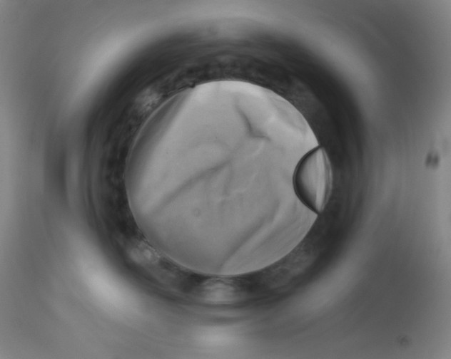X0000113740526200910211127