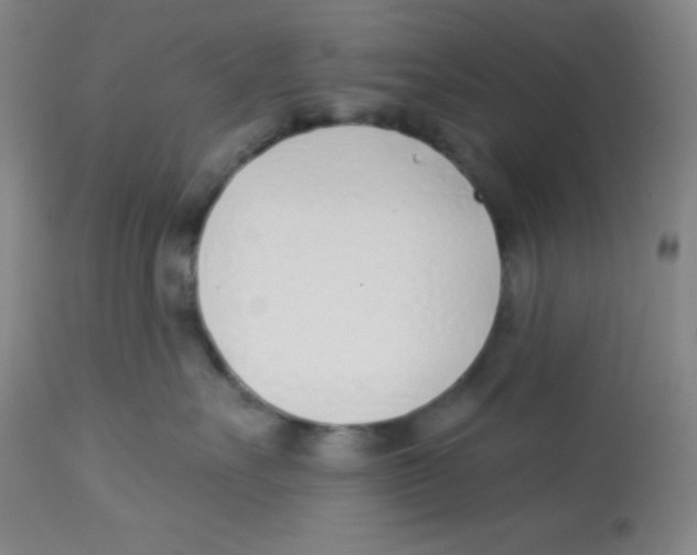 X0000113740527200910211127