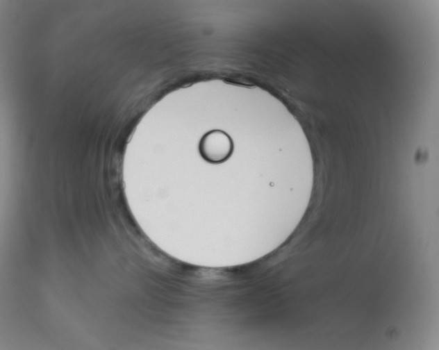 X0000113740528200910211127