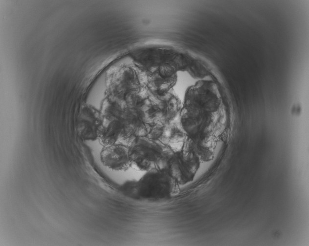 X0000113740529200910211126