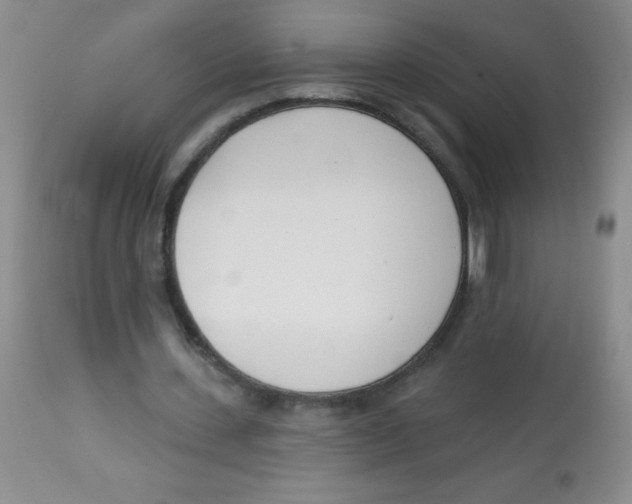 X0000113740531200910211126