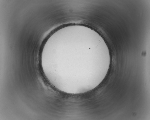 X0000113740532200910211126