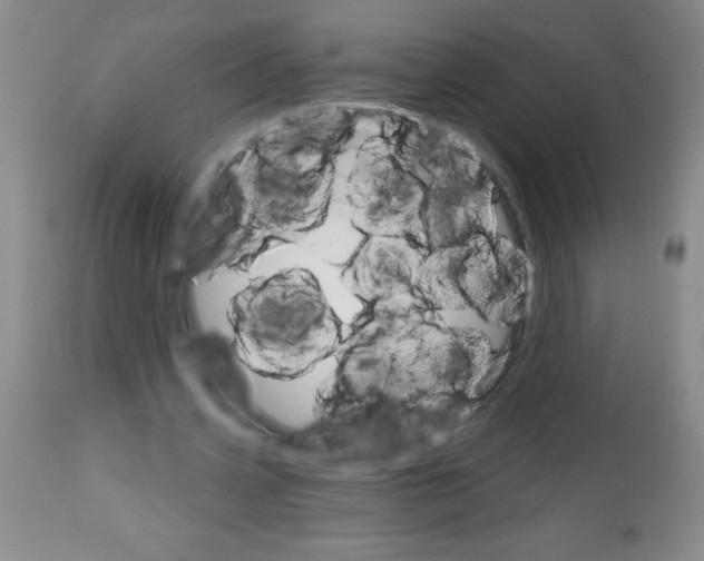 X0000113740533200910211126