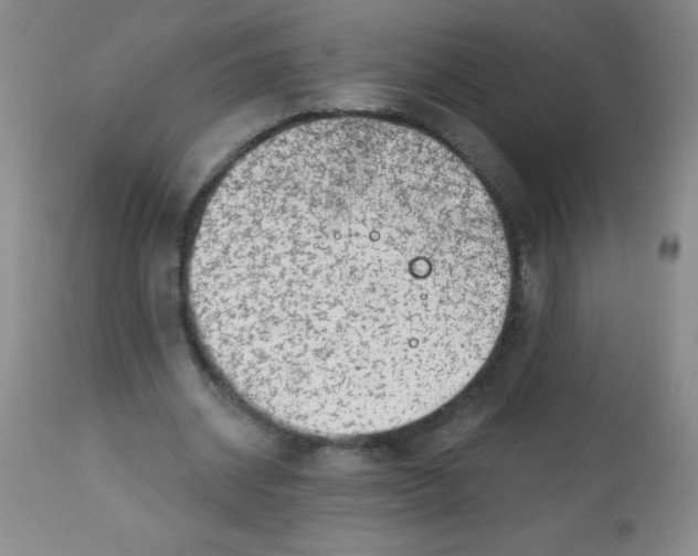 X0000113740534200910211127