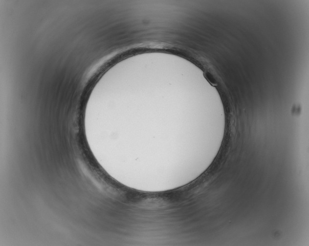 X0000113740536200910211127