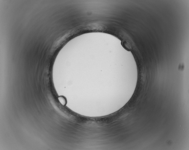 X0000113740538200910211127