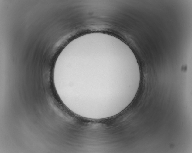 X0000113740539200910211127