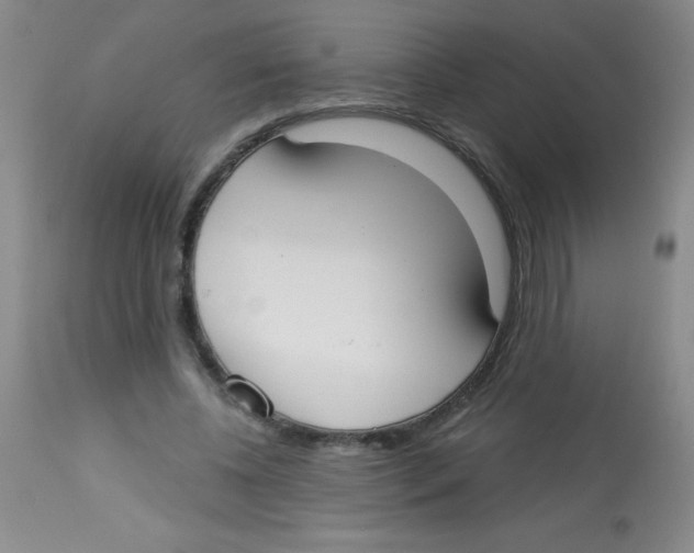 X0000113740540200910211127