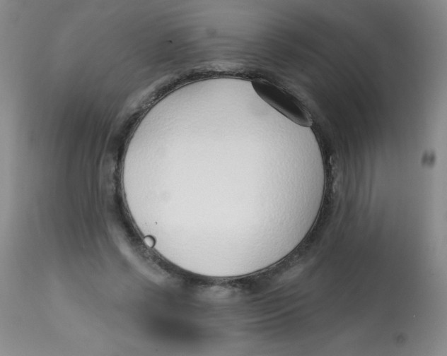 X0000113740542200910211127