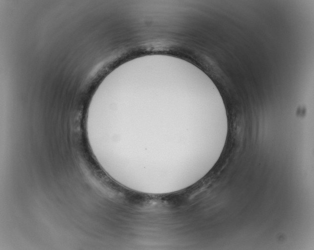 X0000113740543200910211127