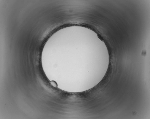 X0000113740544200910211127