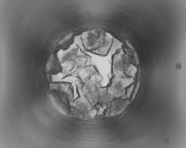 X0000113740545200910211127