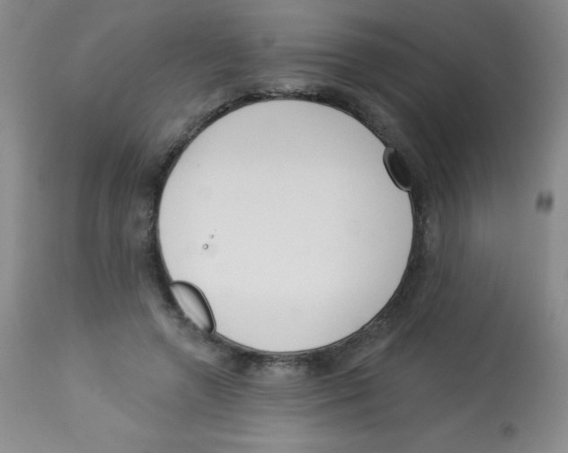 X0000113740546200910211127