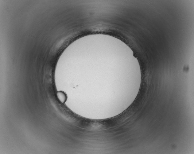 X0000113740547200910211127