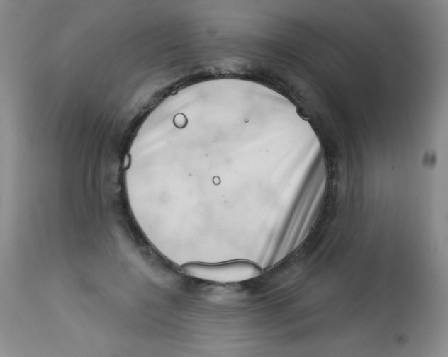 X0000113740548200910211127
