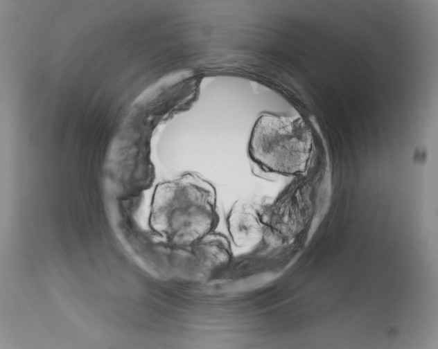 X0000113740549200910211127