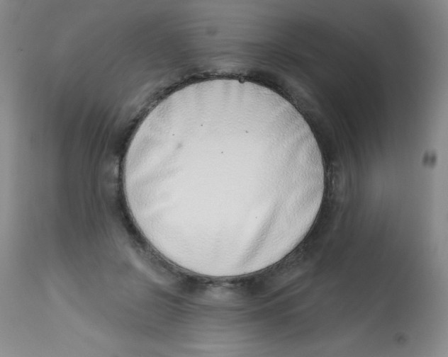 X0000113740550200910211127