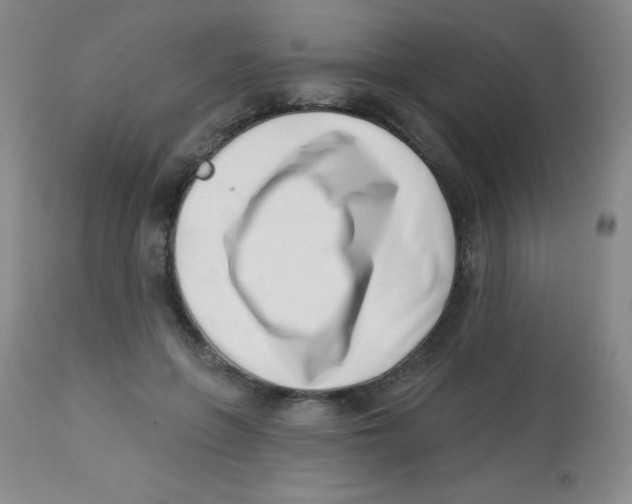 X0000113740551200910211127