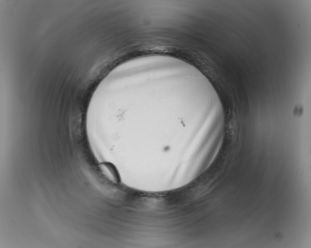 X0000113740552200910211127