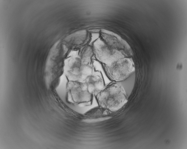 X0000113740553200910211127