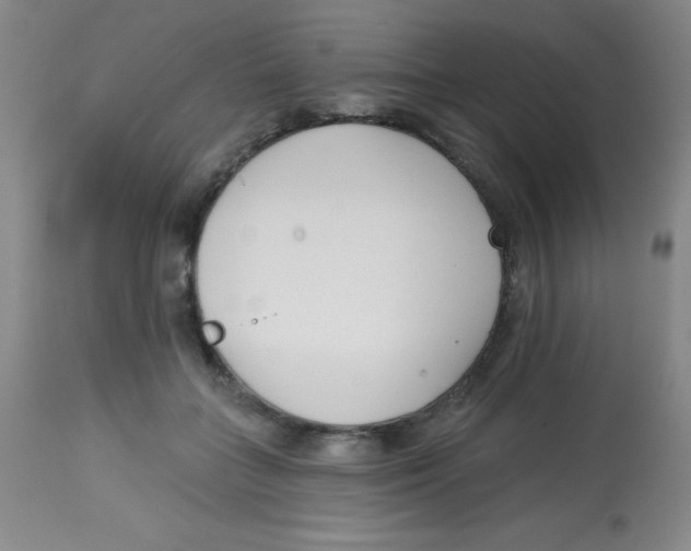 X0000113740555200910211127