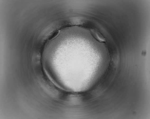 X0000113740556200910211127