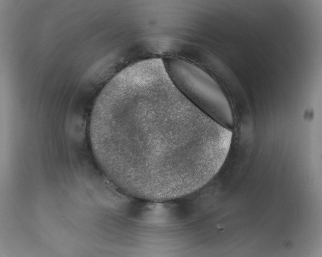 X0000113740558200910211127